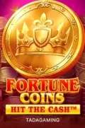 Fortune Coins slot más popular en PICCHUBET COM